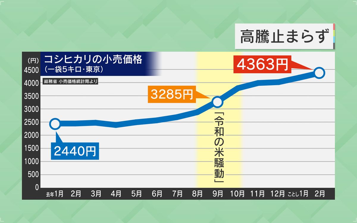 高騰止まらず…今後どうなる―