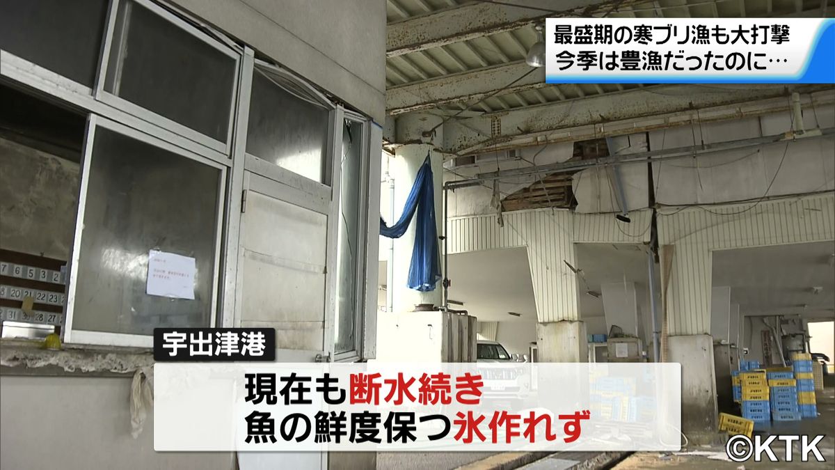 今年は豊漁のはずが…寒ブリ漁に大打撃　港が隆起で競りできず氷も作れない…能登宇出津