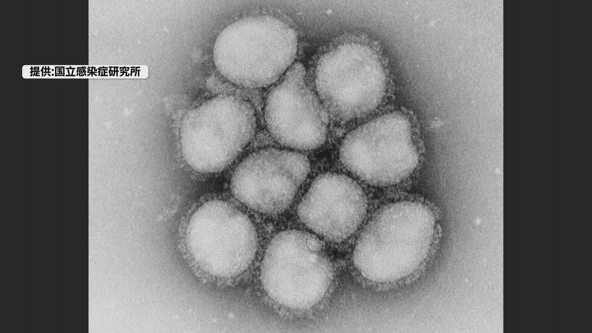 インフルエンザ患者数５週連続減少　減少傾向もまだ流行期　引き続き感染予防呼び掛け　