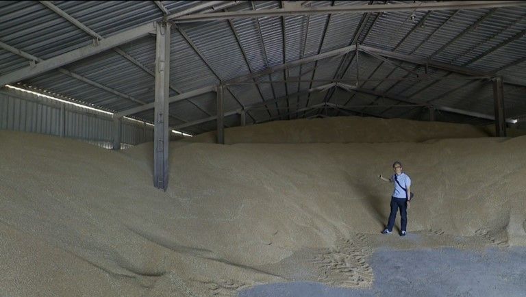 小麦が山積みのウクライナの農場倉庫…「輸出できないと農業は大惨事に」