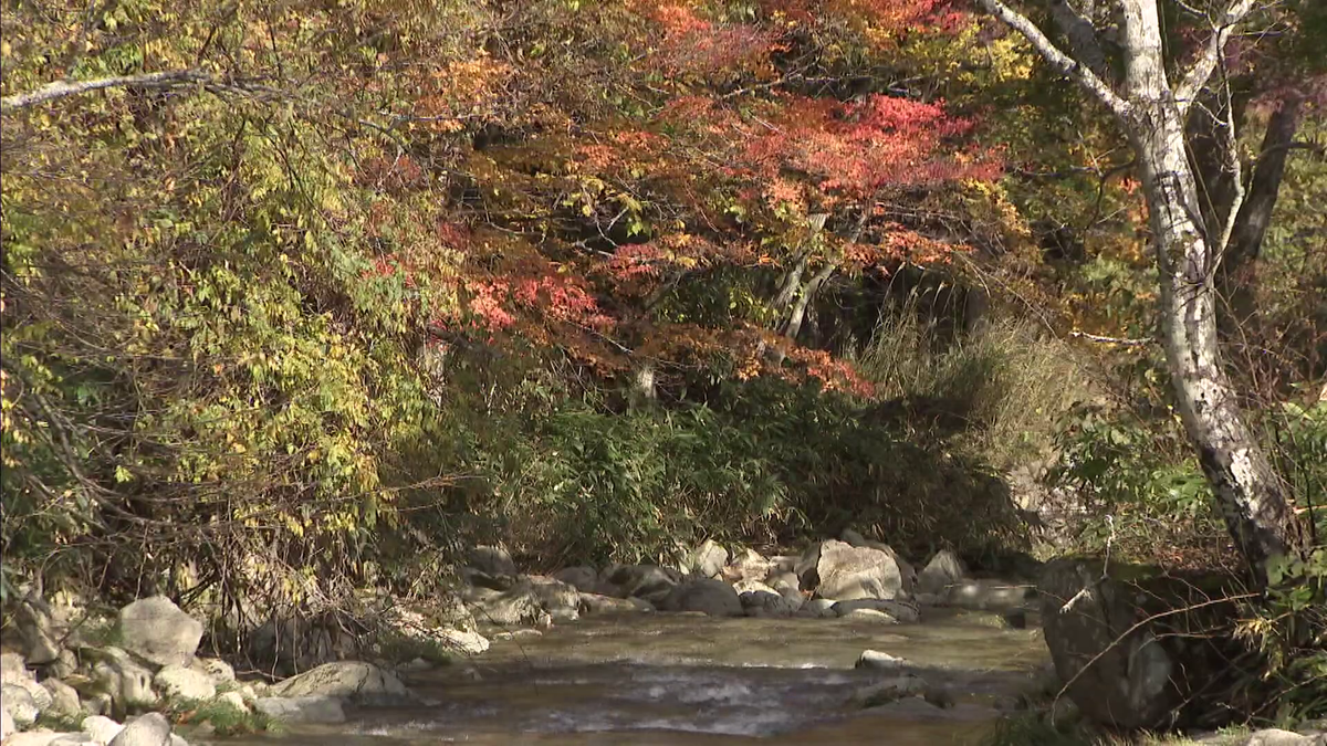 飛騨・美濃せせらぎ街道の様子