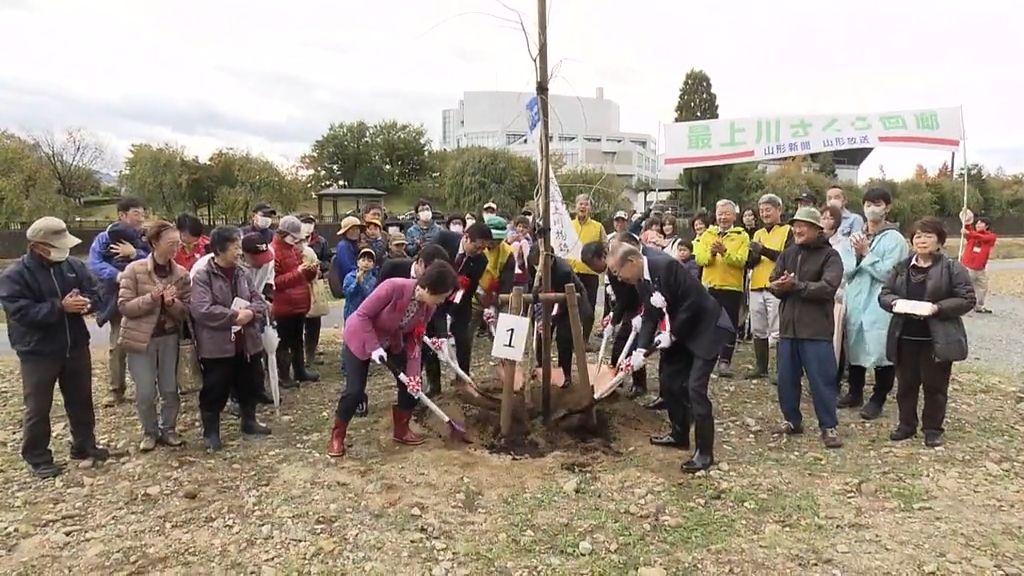 山形県内の最上川流域をサクラでいっぱいに　山形市で「最上川さくら回廊」の総合植樹式