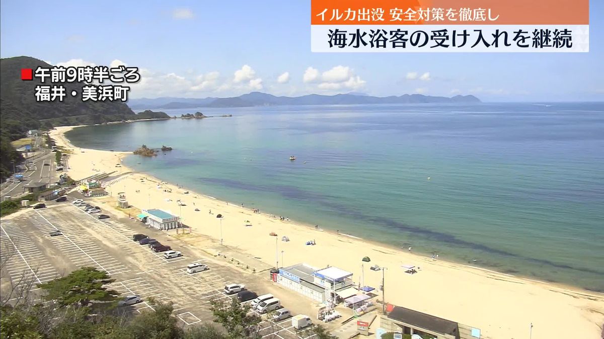 “イルカ出没で閉鎖方針”安全対策徹底し海水浴客の受け入れ継続へ　福井・水晶浜海水浴場