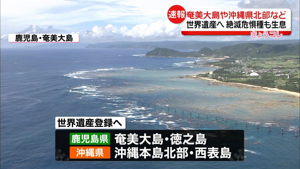 奄美大島や沖縄県北部など　世界自然遺産へ