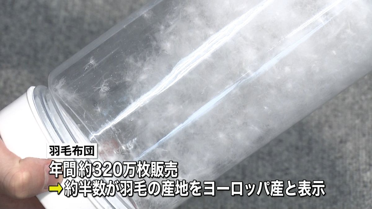 “欧州産”羽毛布団　産地偽装が常態化か