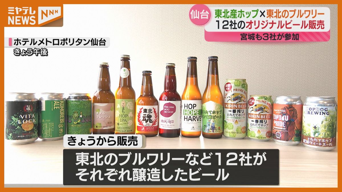 ＜東北で今年穫れた“ホップ”使って＞12社が醸造したクラフトビール販売始まる　「ブルワリーごとに香りも違う」（仙台市）