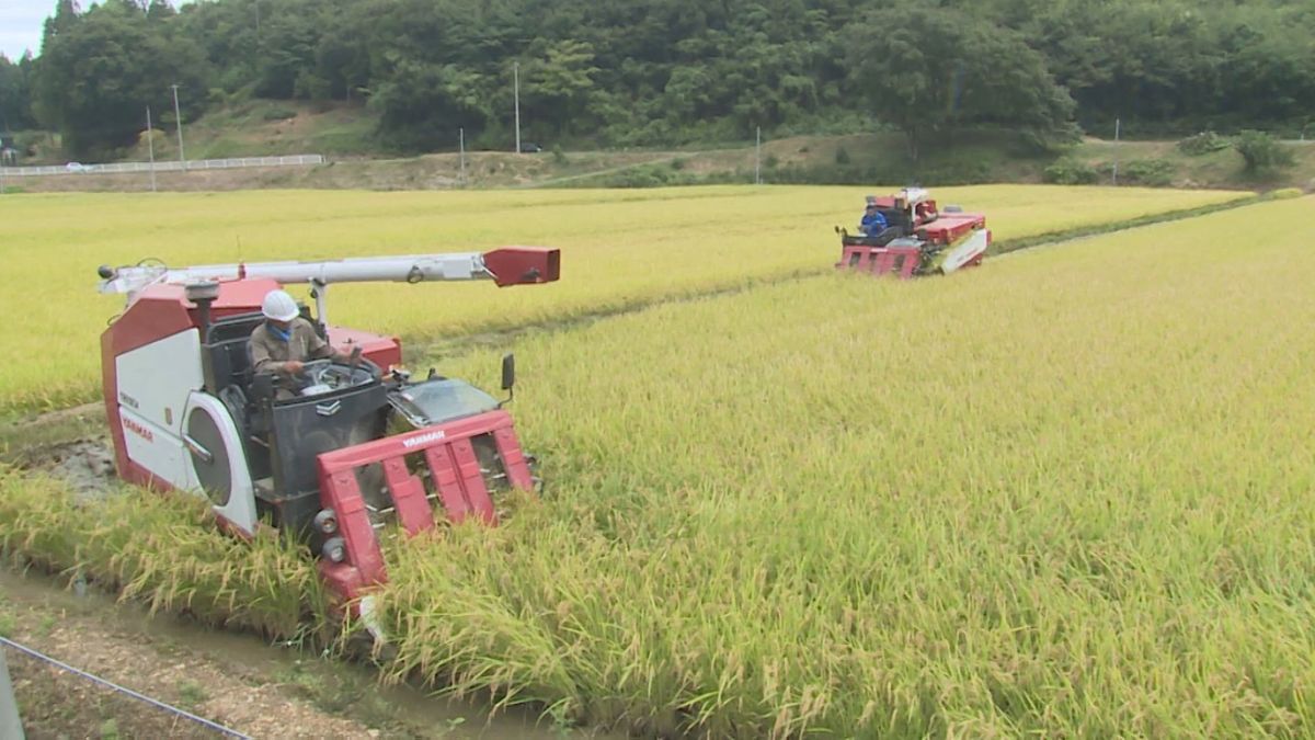 【岩手県】米の作況指数「106」24年ぶりの「良」確定