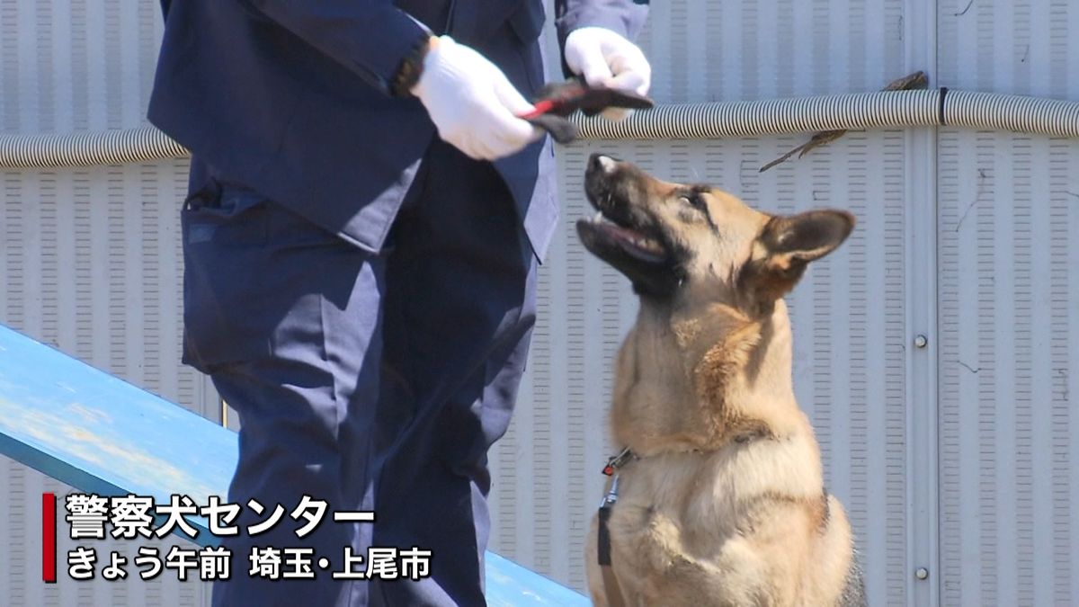 埼玉県警が飼育管理「直轄警察犬」運用開始