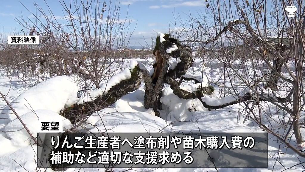 除排雪推進やりんご生産者支援を要望　弘前市議会「近郊の農家でもひじょうに大きな被害が発生している」