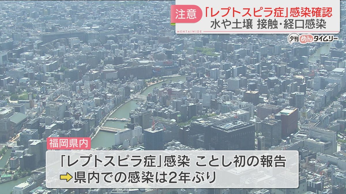 「レプトスピラ症」県内でことし初確認