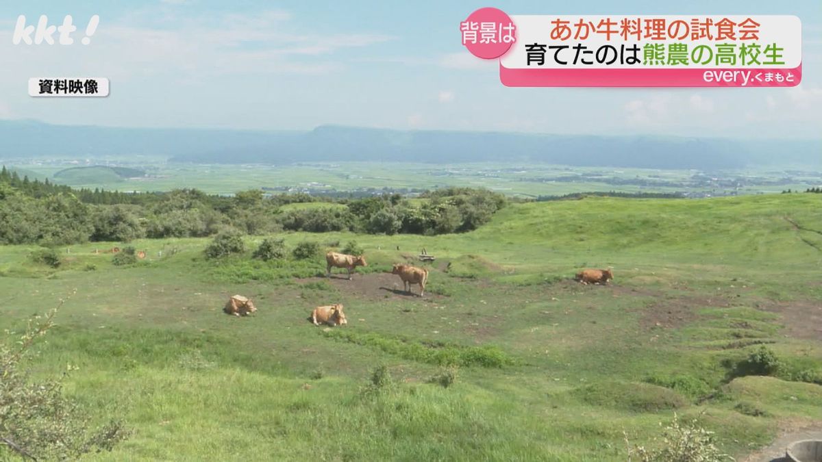 阿蘇の草原