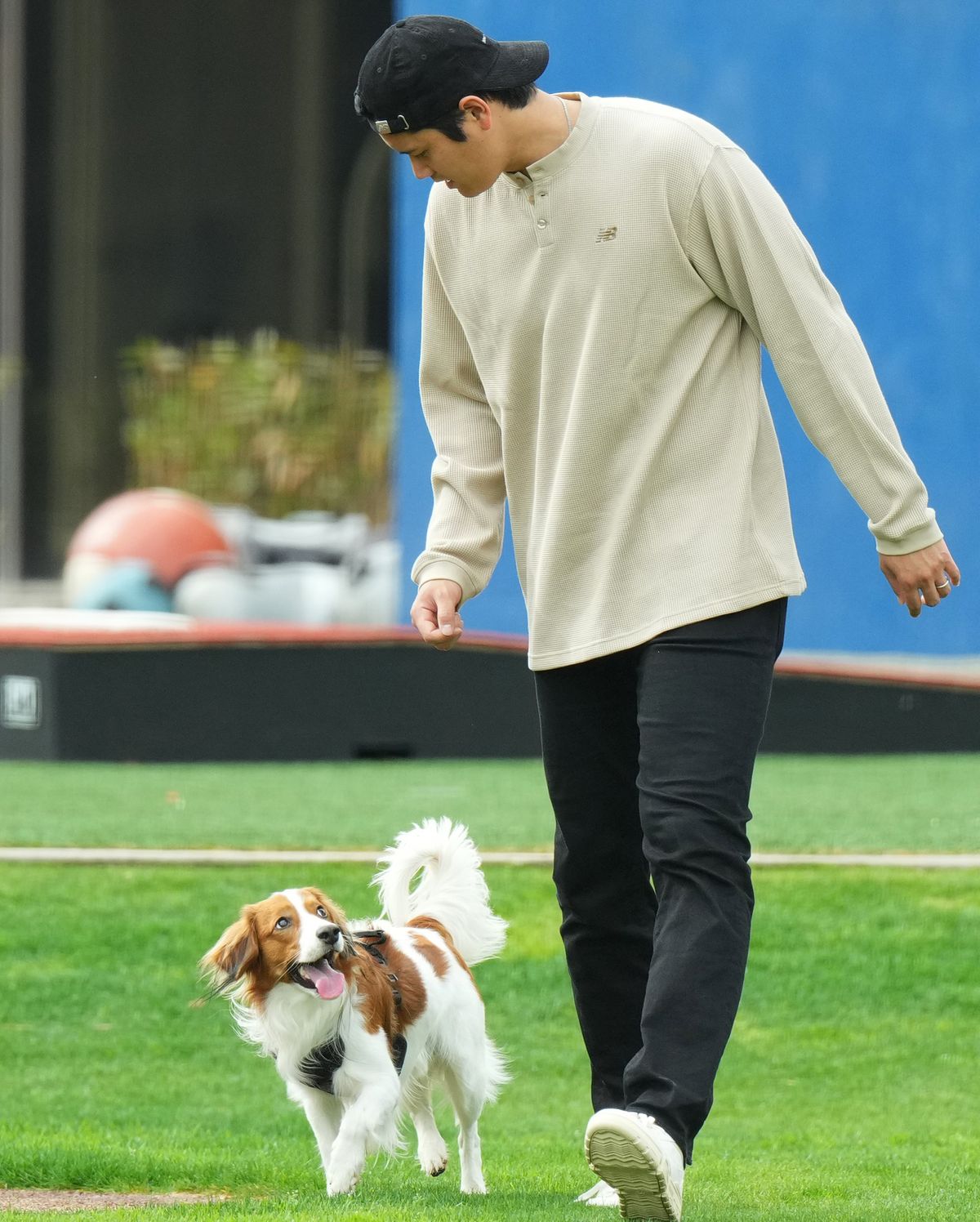 大谷翔平　キャンプ地で愛犬デコピンとのリラックス写真投稿　「見つめる目がかわいすぎる」とファン反響