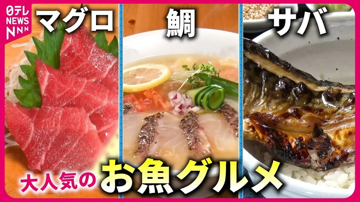 【人気店】マグロ＆鯛＆サバ！　こだわり店主の“お魚グルメ”『every.特集』