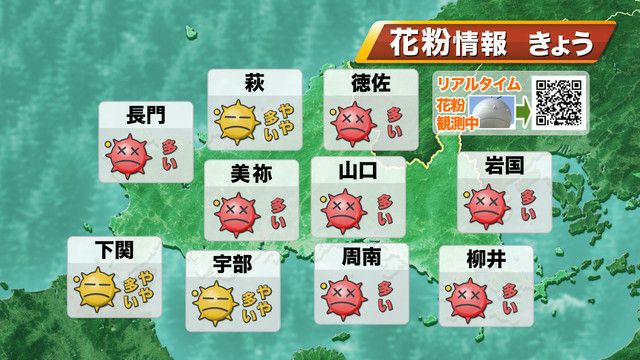 15日(金)の花粉情報