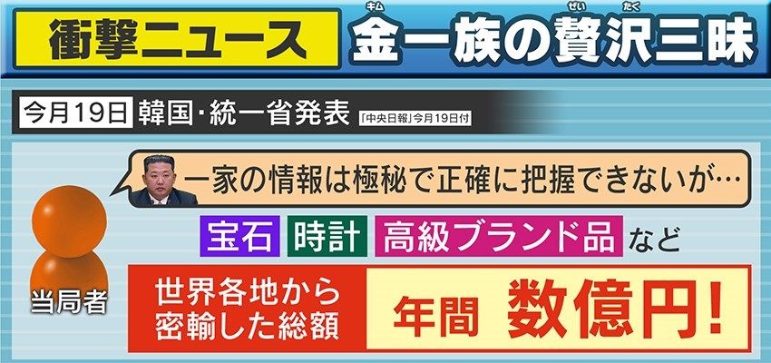 宝石・時計・高級ブランド品など贅沢品の総額は年間数億円 