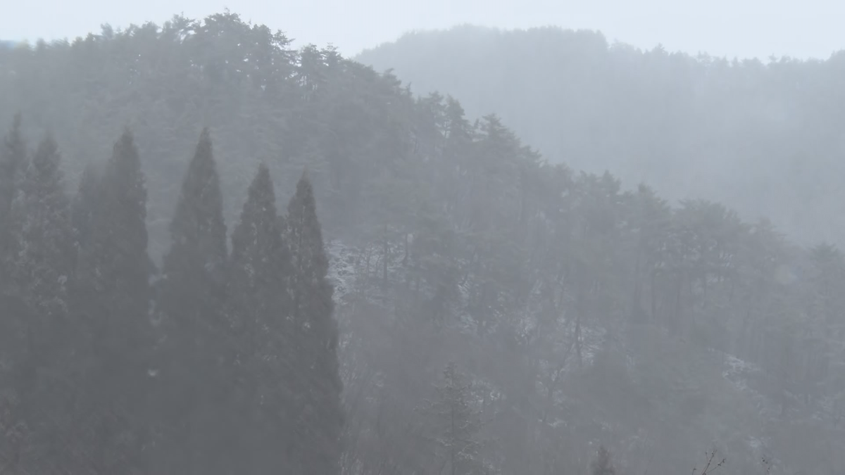 上田市の山火事は鎮火　発生から約71時間後　約100ヘクタールが焼失【長野】