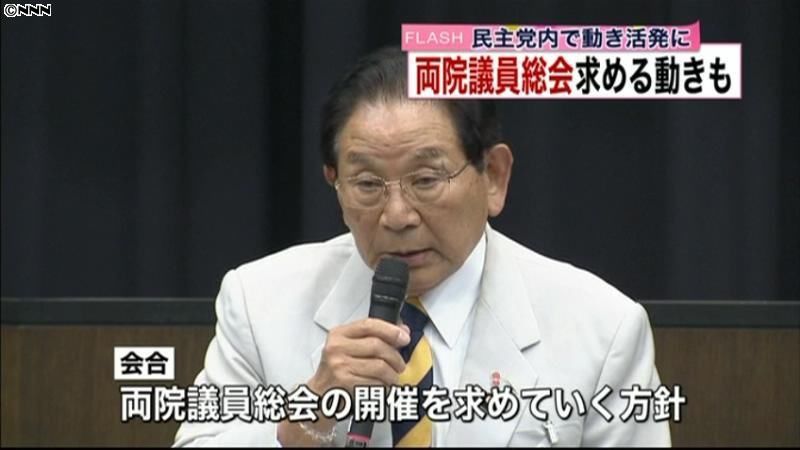 民主党内に両院議員総会求める動きも