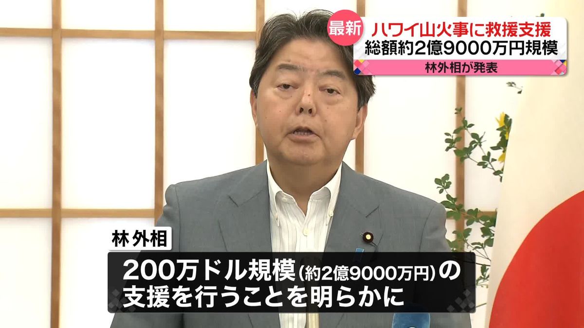 林外相　ハワイ山火事支援発表　総額約2億9000万円規模