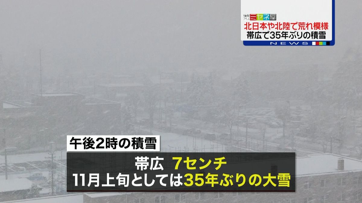 北日本や北陸で荒れ模様　帯広で記録的大雪