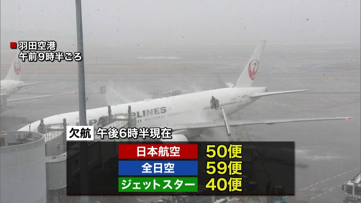 関東で雪　空の便は約２万５千人に影響も