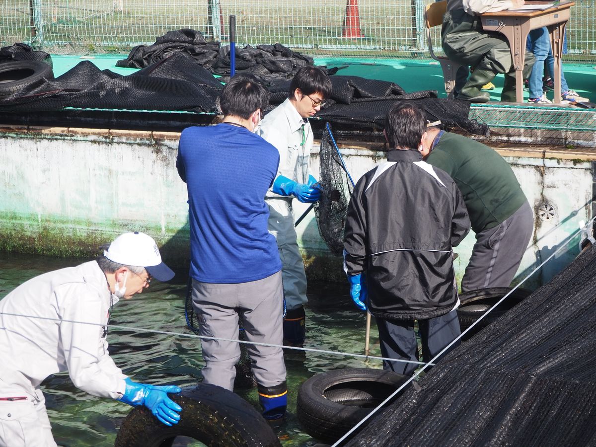 集まった資金は保護池の修繕費用などにもあてられる（提供：名張市教育委員会）