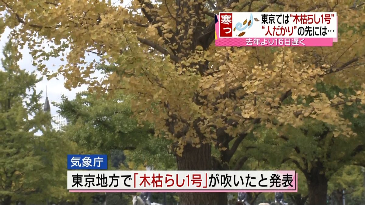 東京で遅い冬の便り…「木枯らし１号」観測