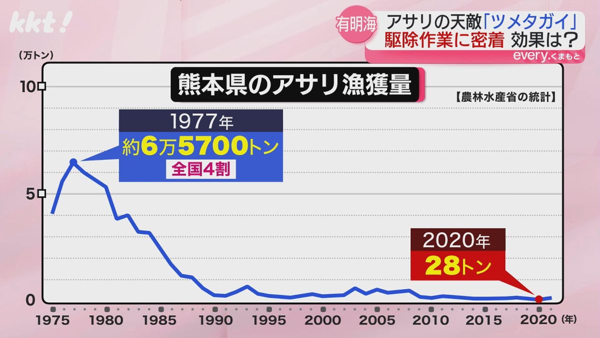 熊本県のアサリ漁獲量