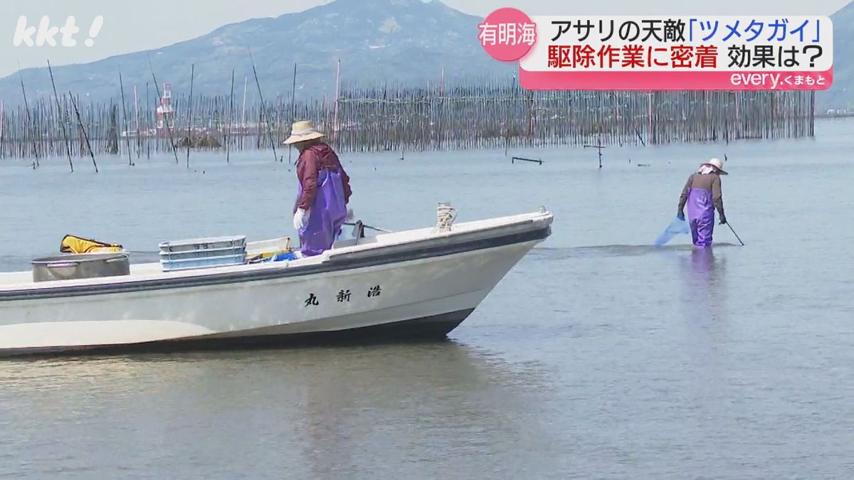 緑川河口（熊本市）