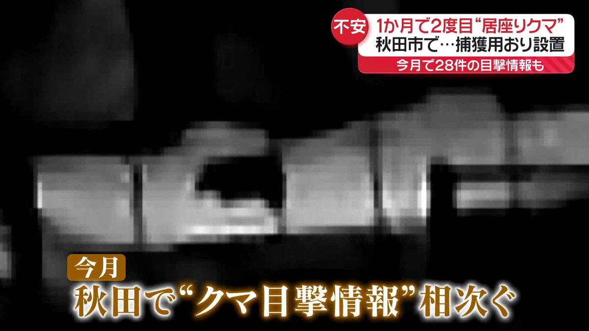 工場でクマ居座り、捕獲用おり設置　秋田市で1か月に2度目…今月28件の目撃情報も