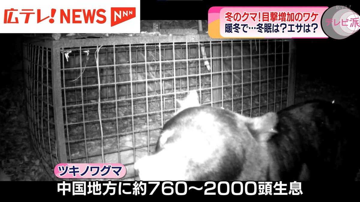 中国地方には約760頭～約2000頭のクマが生息しているとみられる