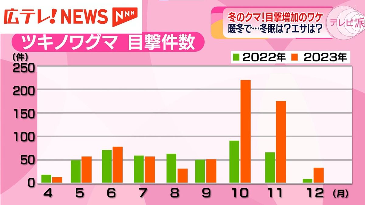 クマの目撃件数