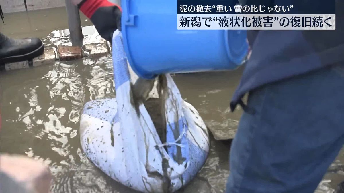 新潟市“液状化”被害からの復旧続く　「り災証明書」発行の受け付け開始
