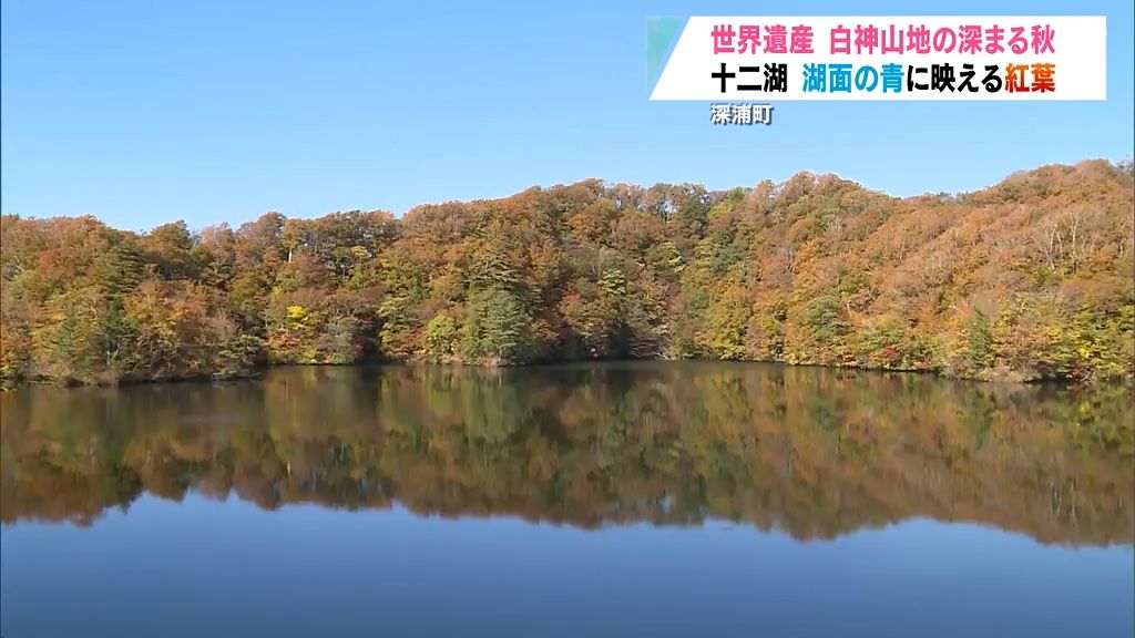 世界自然遺産の秋　十二湖の『青に映える紅葉』