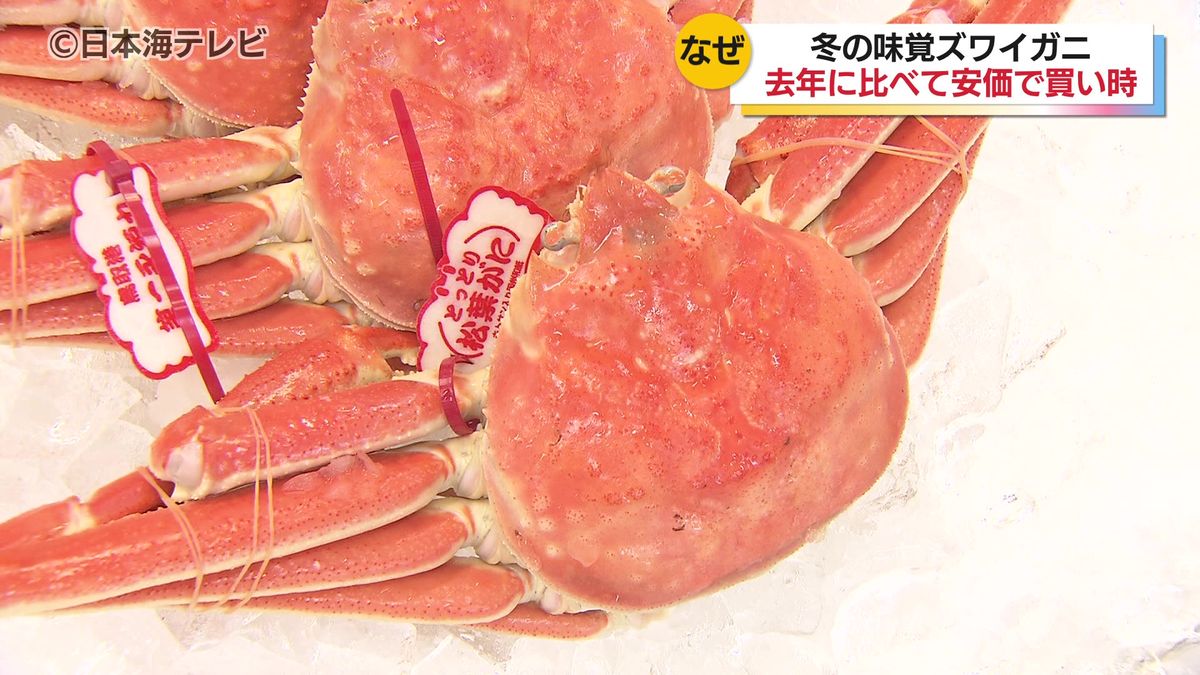 天候に恵まれ漁獲量も安定　冬の味覚ズワイガニの販売価格が去年に比べ2割程度安価　鳥取県