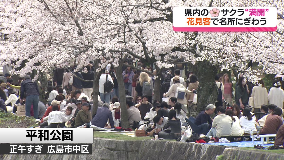 広島で満開！　花見客でサクラの名所にぎわう