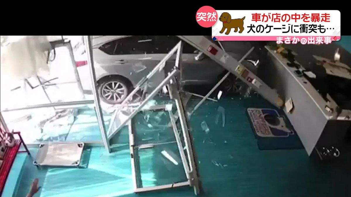 店に突っ込んできた車　そのまま暴走して犬のケージに衝突…　アメリカ