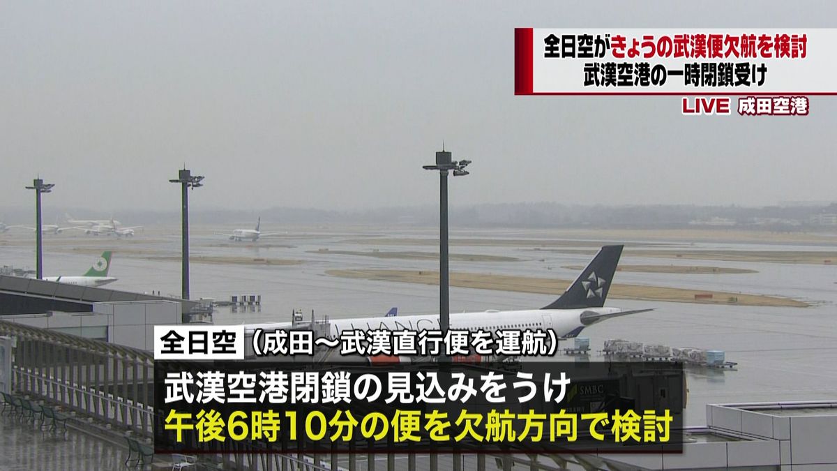 全日空、中国・武漢便欠航を検討　新型肺炎