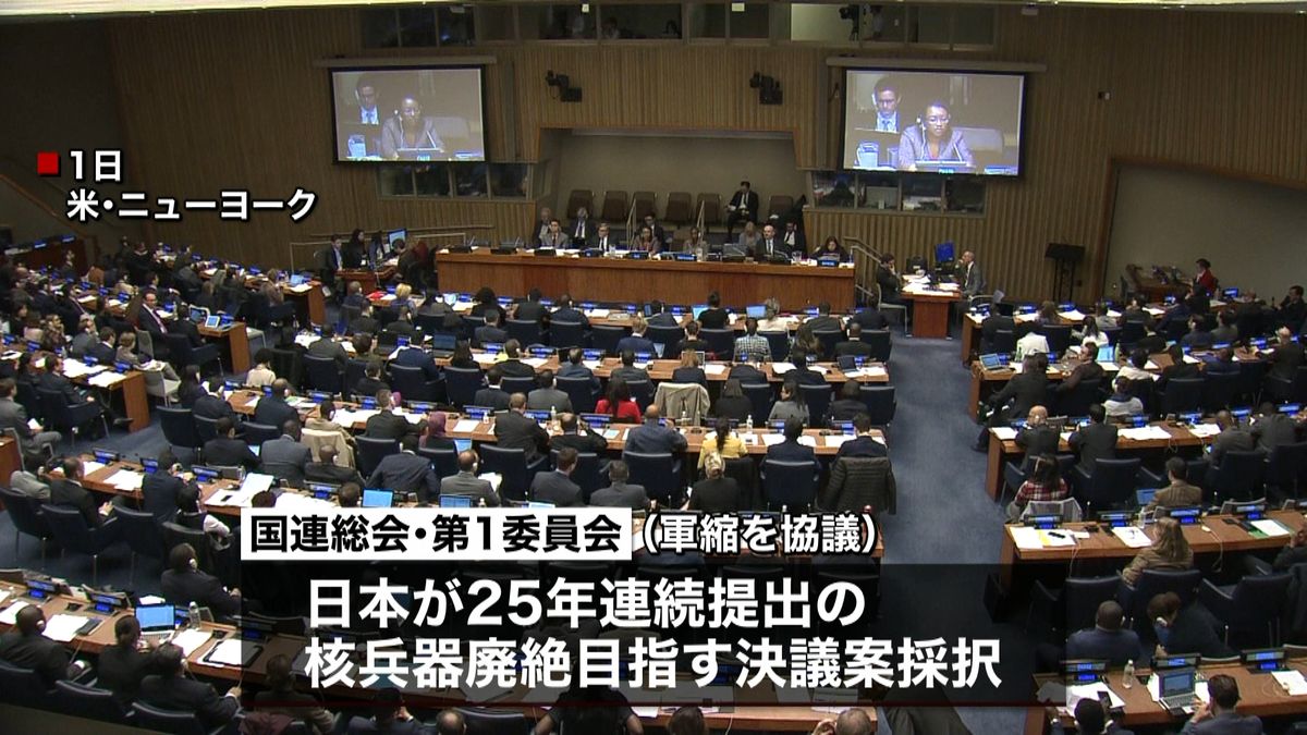 核兵器廃絶決議案、国連で採択　米国は棄権