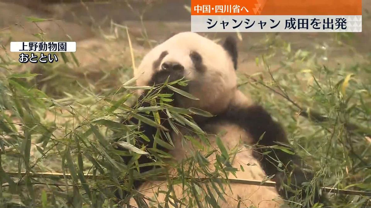 シャンシャン、中国へ旅立ち　大勢のファン見送り…幸せ願って「いってらっしゃい」