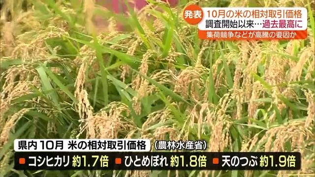 福島県内の新米も高止まり続く　コシヒカリは約1.7倍、ひとめぼれは約1.8倍