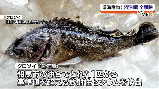 福島県沖で獲れたクロソイの出荷制限解除　これで福島県沖の全魚種の出荷制限が解除に