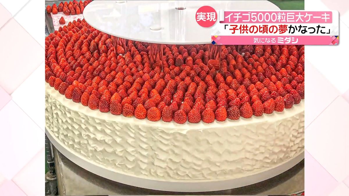 イチゴ5000粒・直径100センチ　超特大ショートケーキ作る「子供の頃の夢がかなった」