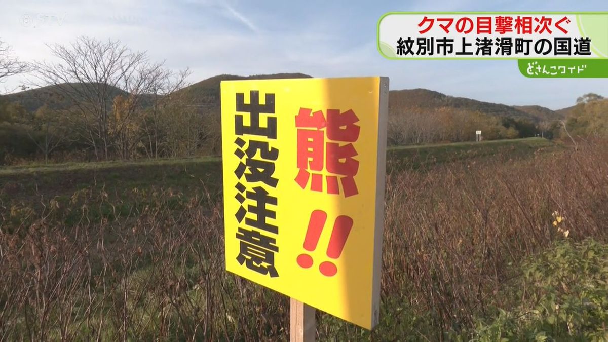 １０時ごろ西から東に・１２時ごろ東から西に　国道横断するクマ　北海道紋別市　付近に小学校も