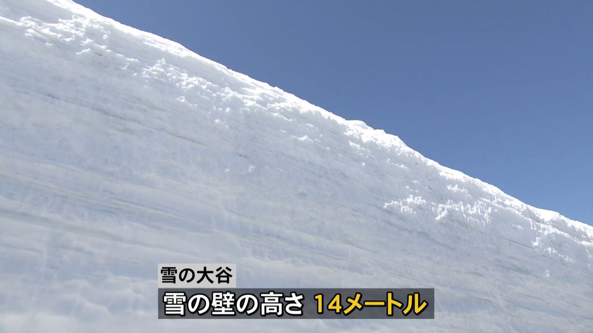 休業終え…立山黒部アルペンルート全線開通