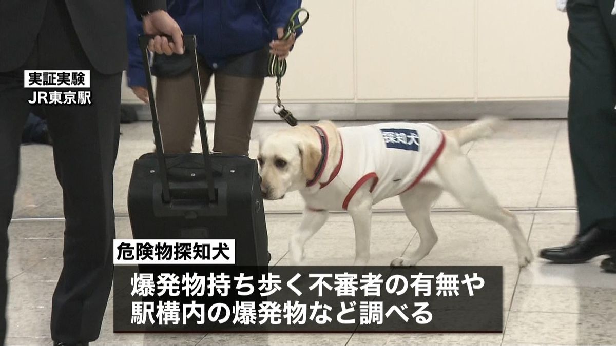 「探知犬」が危険物探知　東京駅で実証実験