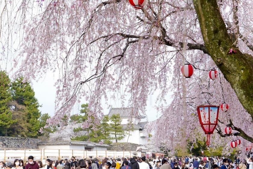 過去開催の様子