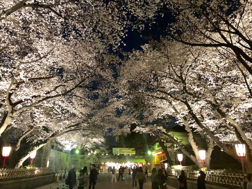 過去開催の様子