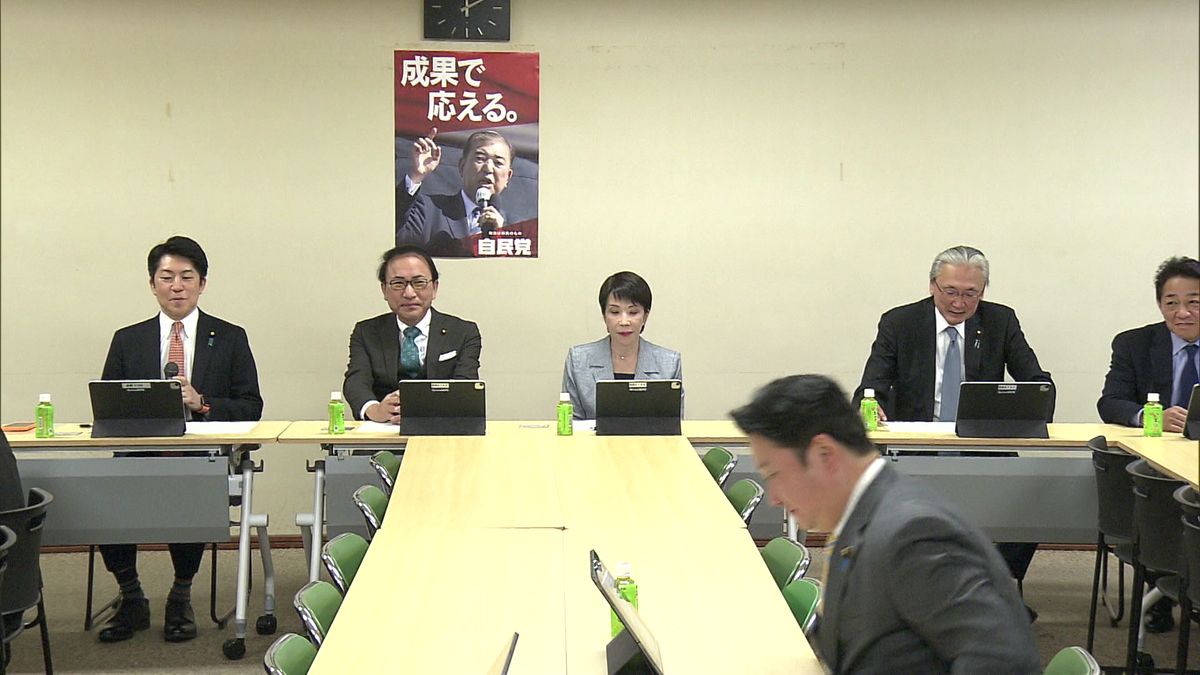 自民党“ロマンス詐欺対策”緊急提言まとめる