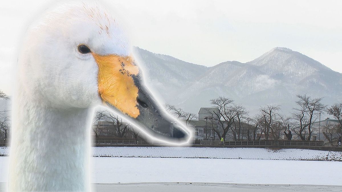 【内陸山沿い中心】11日明け方にかけて大雪に注意　