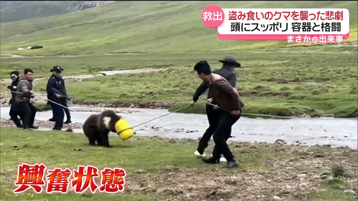 盗み食いのクマを襲った悲劇　頭にスッポリ容器が…　中国